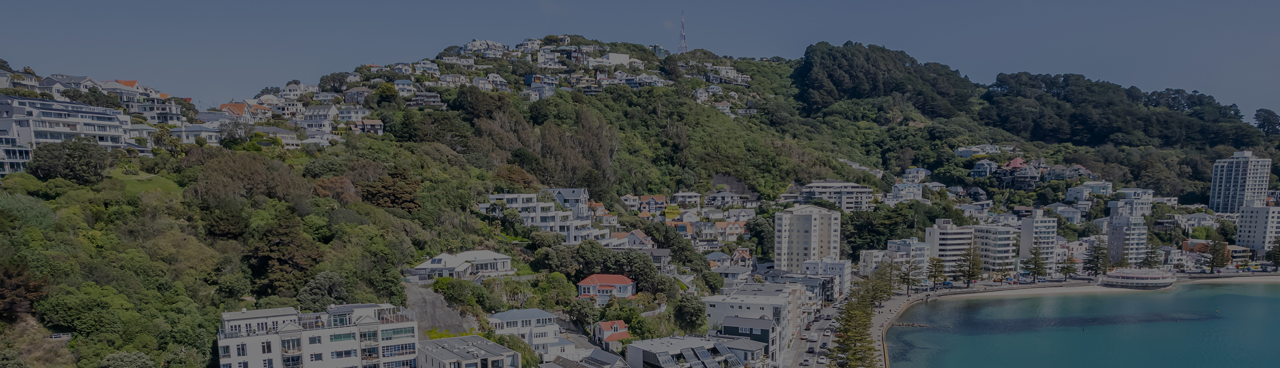 Property Style Jul 2024 Website Header Copy