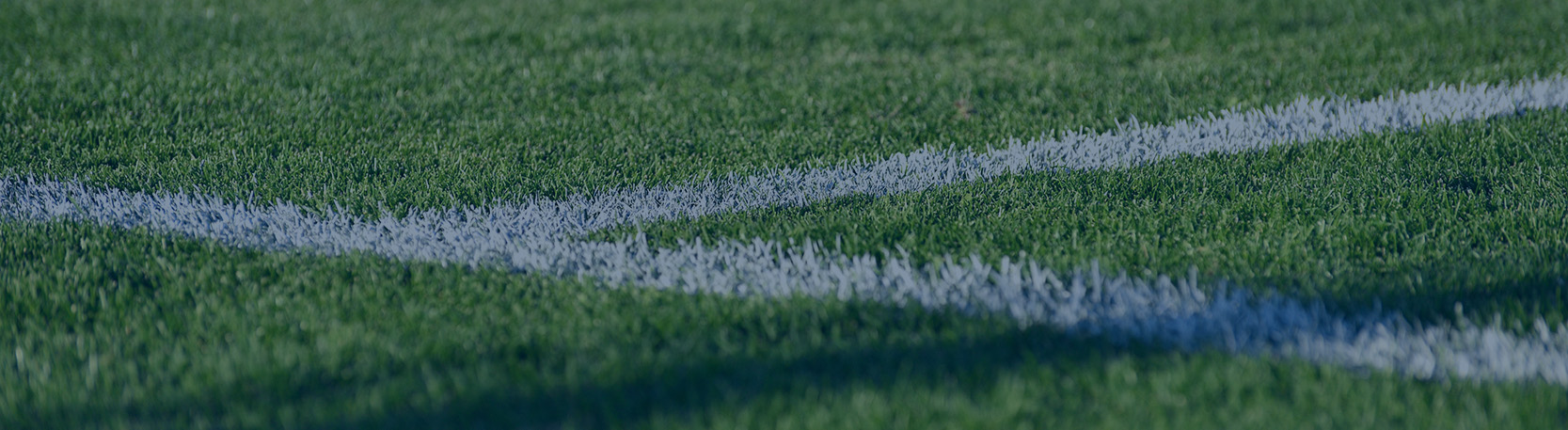 Rodney Sports Nzsir Header