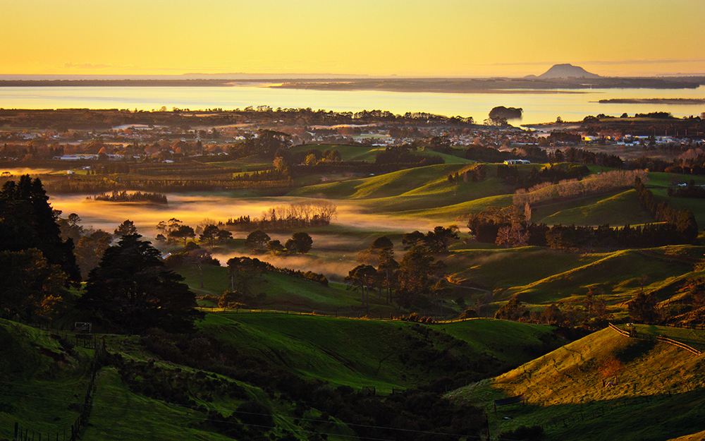 Reg Bay of Plenty Wbop