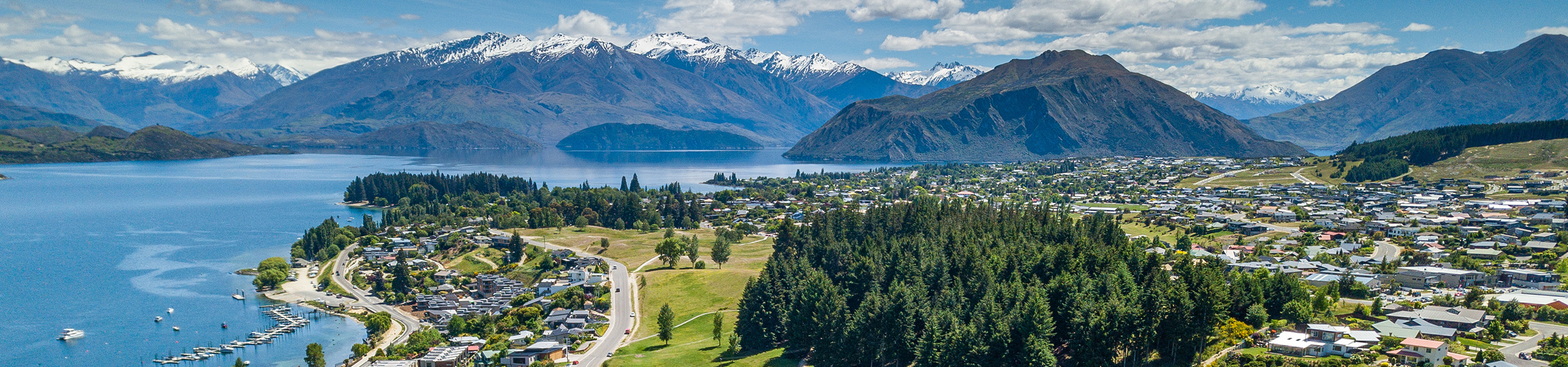 Wanaka Banner Tall