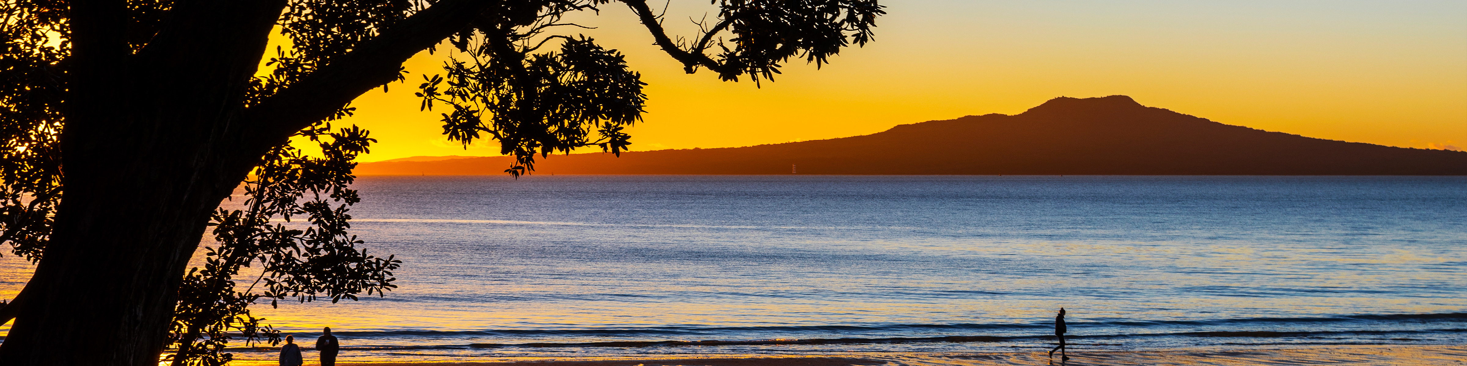 Auckland North Shore