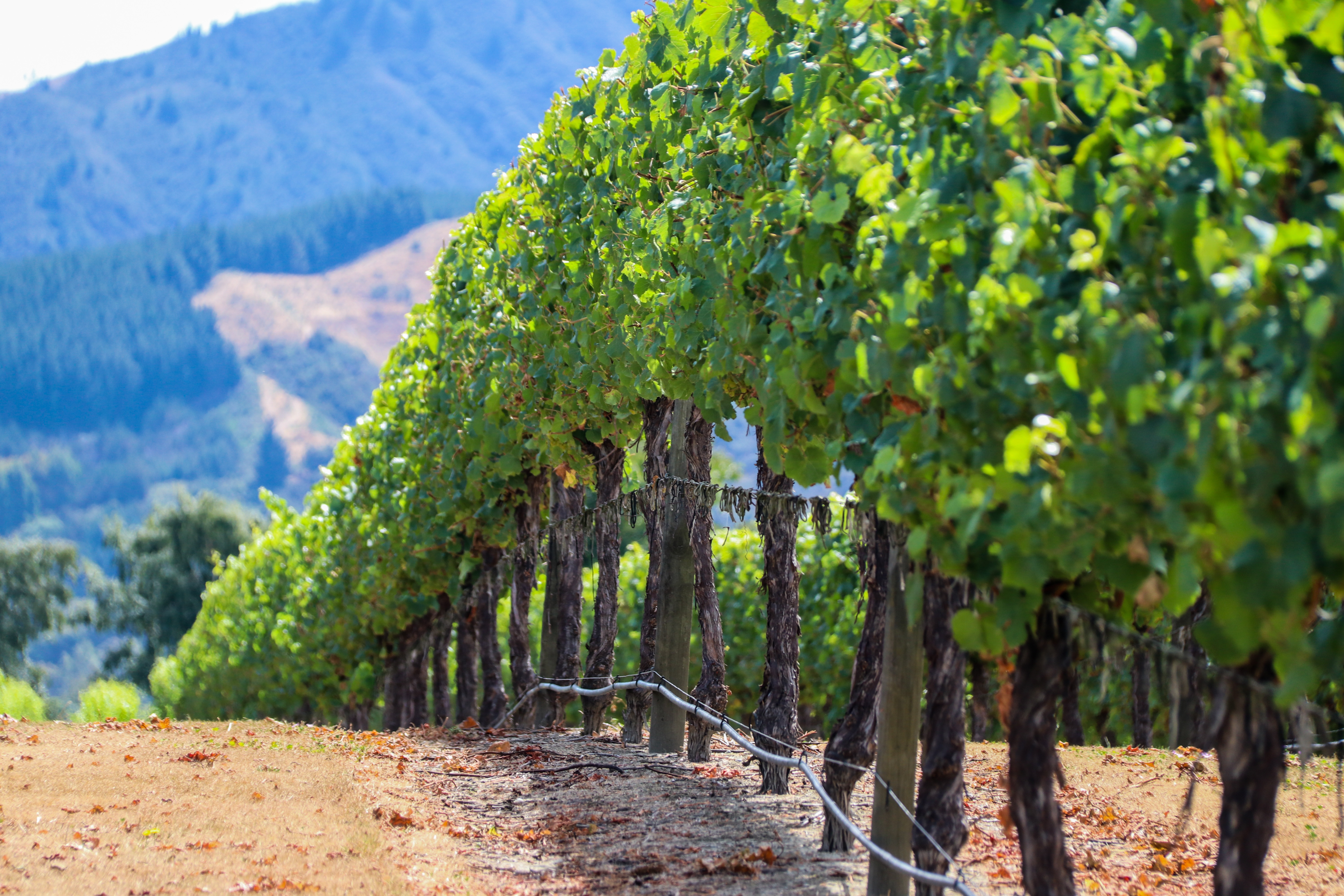 Adobe Stock 407404063