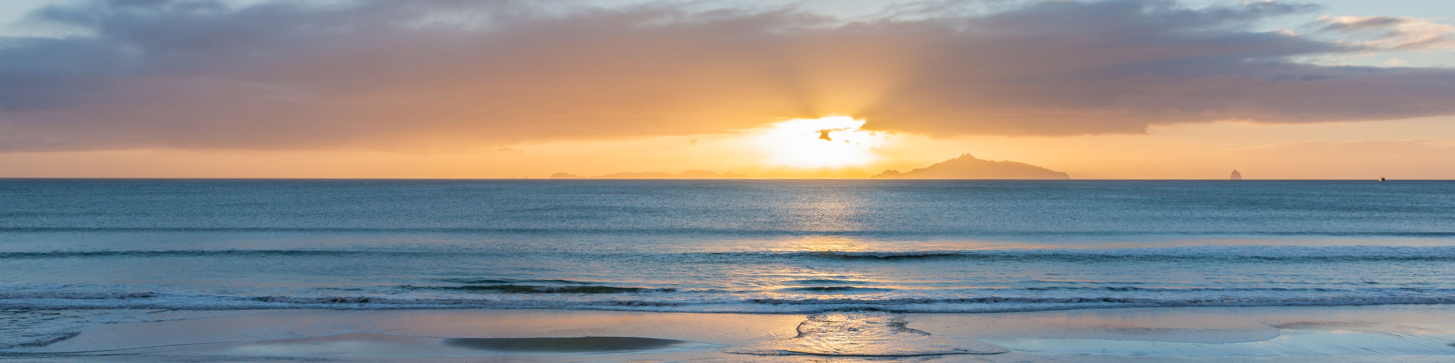 Your Coastal Specialists   Sothebys Website Banner