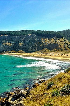 Hawke's Bay beach