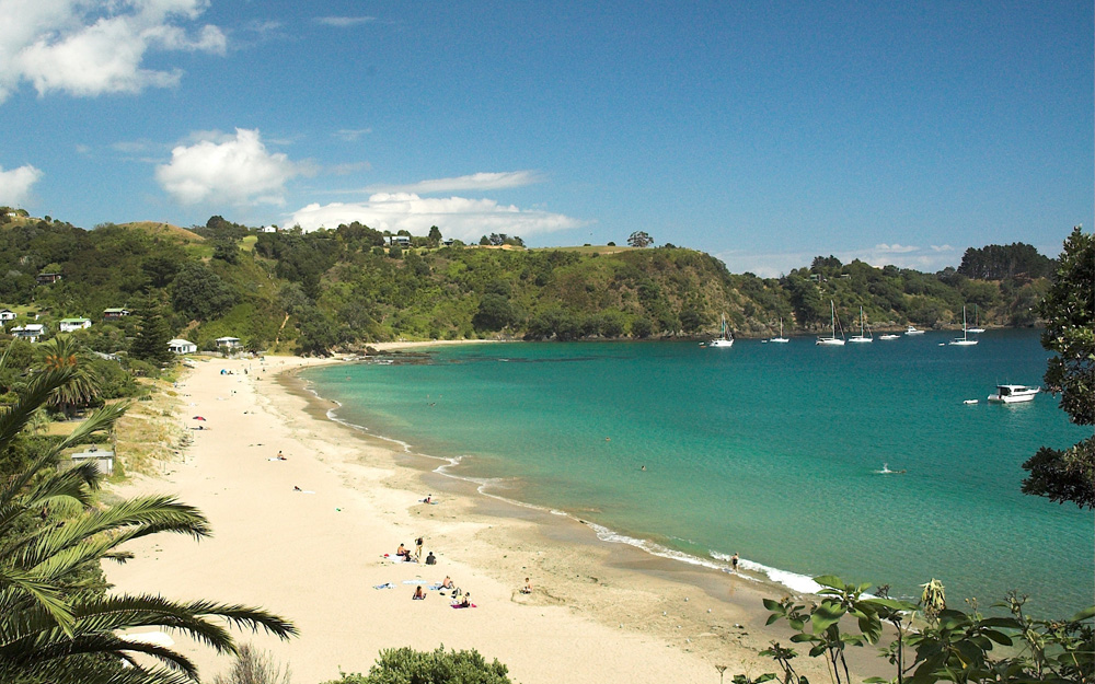 Palm Beach Waiheke Island