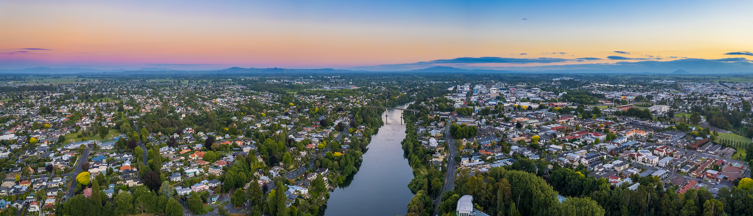 Banner Tall Hamilton