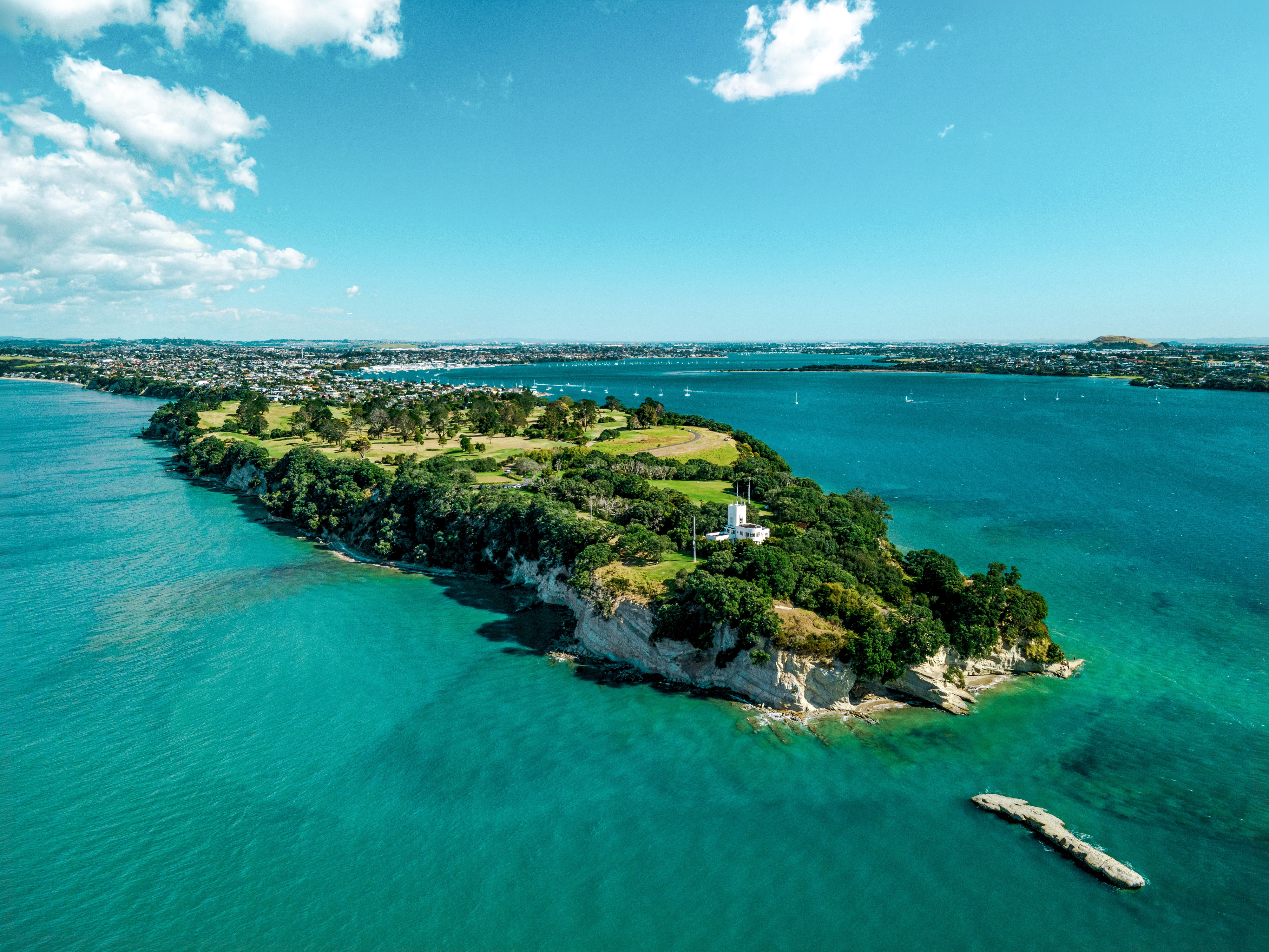 Auckland South East