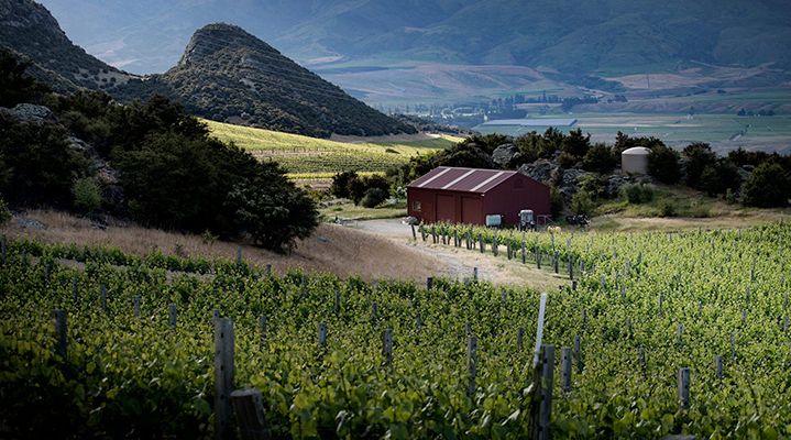 Queenstown Wine Tasting Prophet's Rock