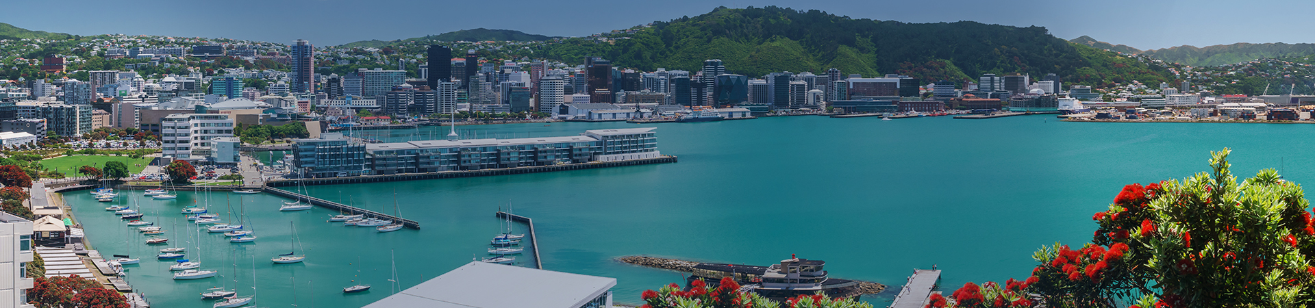 Wellington Header