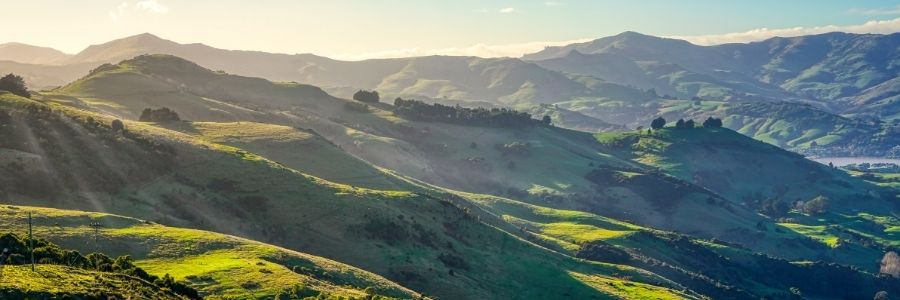 Blog Hero Banners (7)