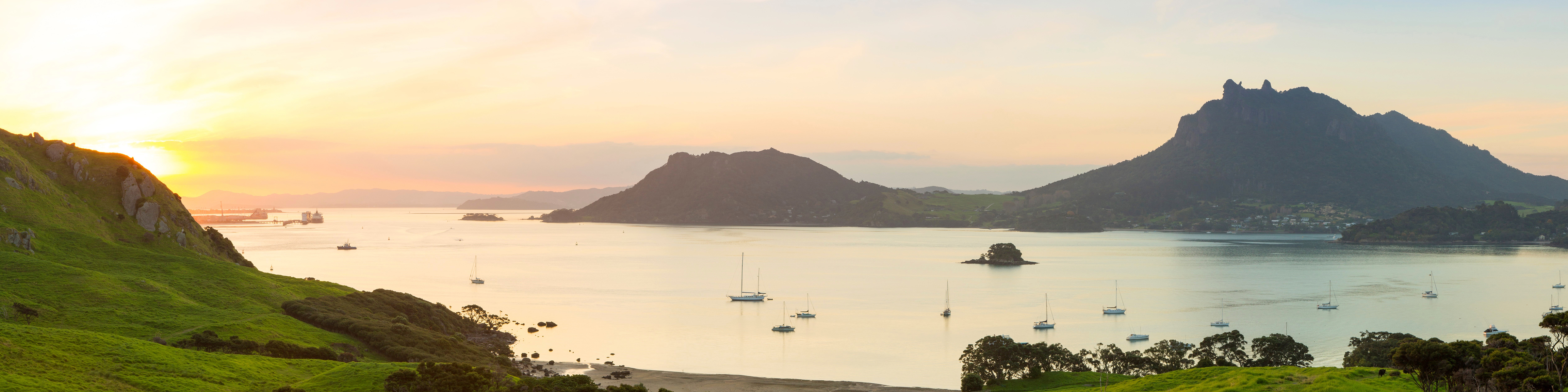 Reg Northland Banner Tall