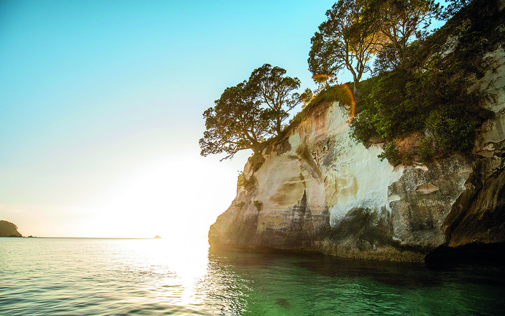 Reg Bay of Plenty Im G3 Coromandel