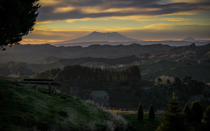 C7 Regional Manawatu