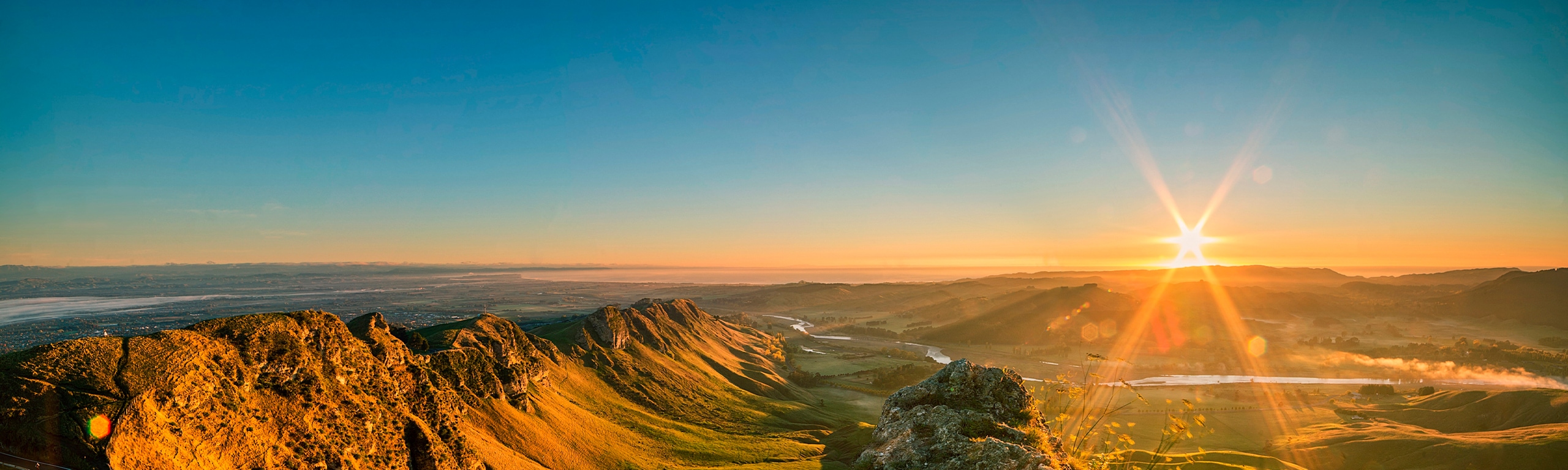 P Style Banner Apr2024 Market Insights