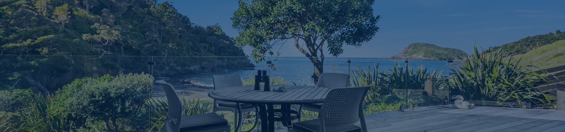 Ppulse Lifestyle Header