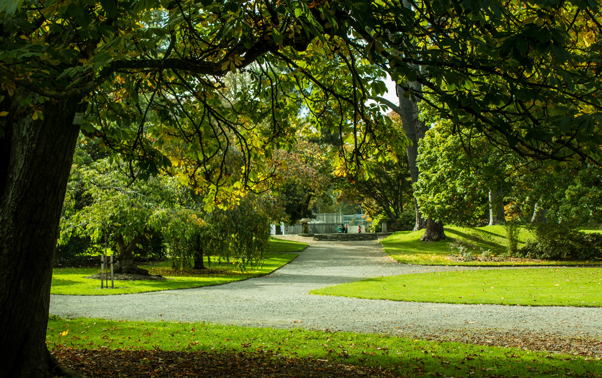 Hagley Park North