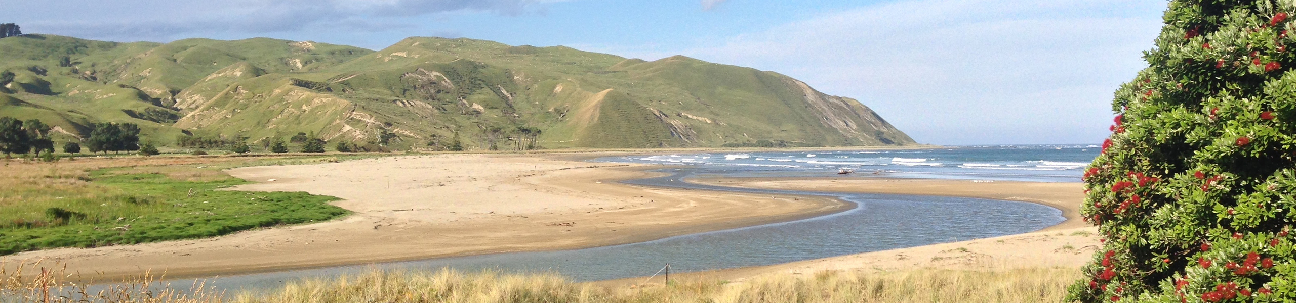 Dis Central Hawkes Bay