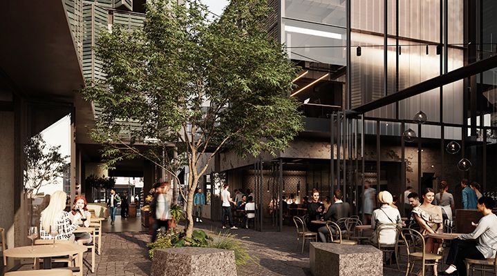 Pompallier Auckland