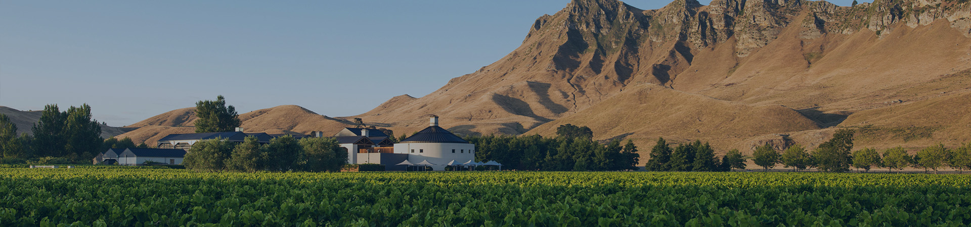 Wine Awards Header