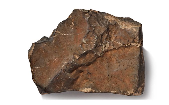 Geek Week 0001 Natural History Martian Meteorite