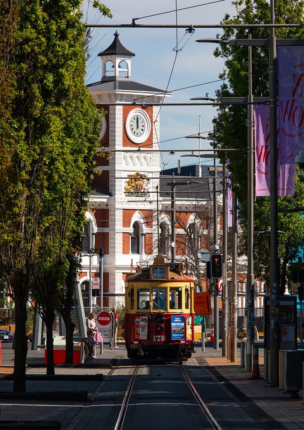 C7 Tall Christchurch