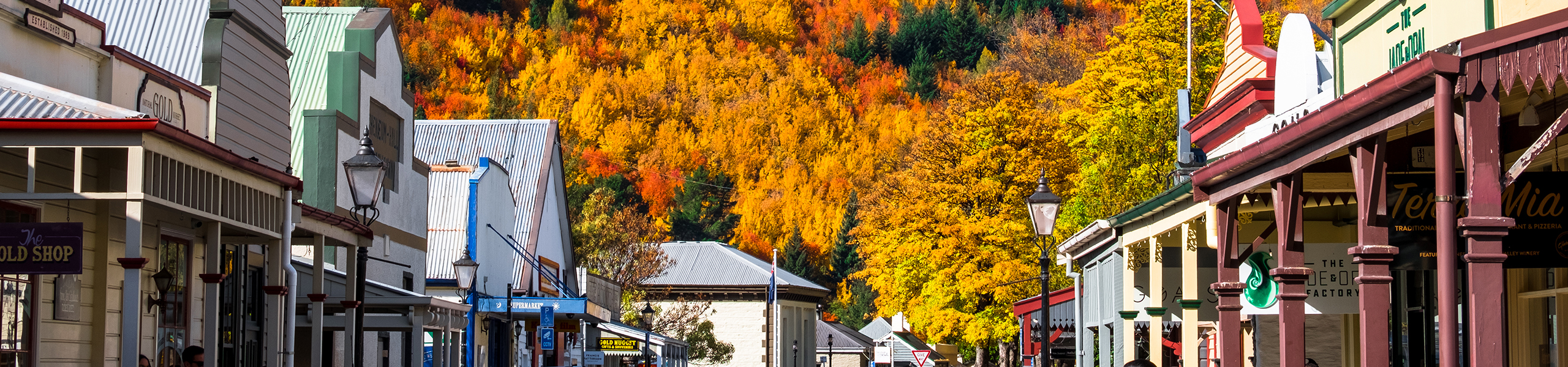 Arrowtown Banner Tall