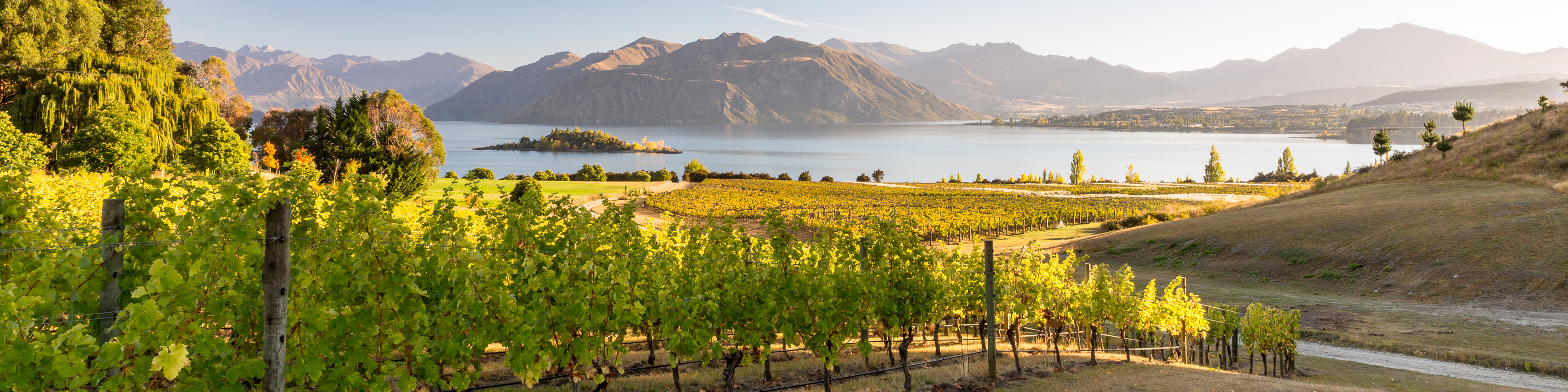 Wanaka Winery