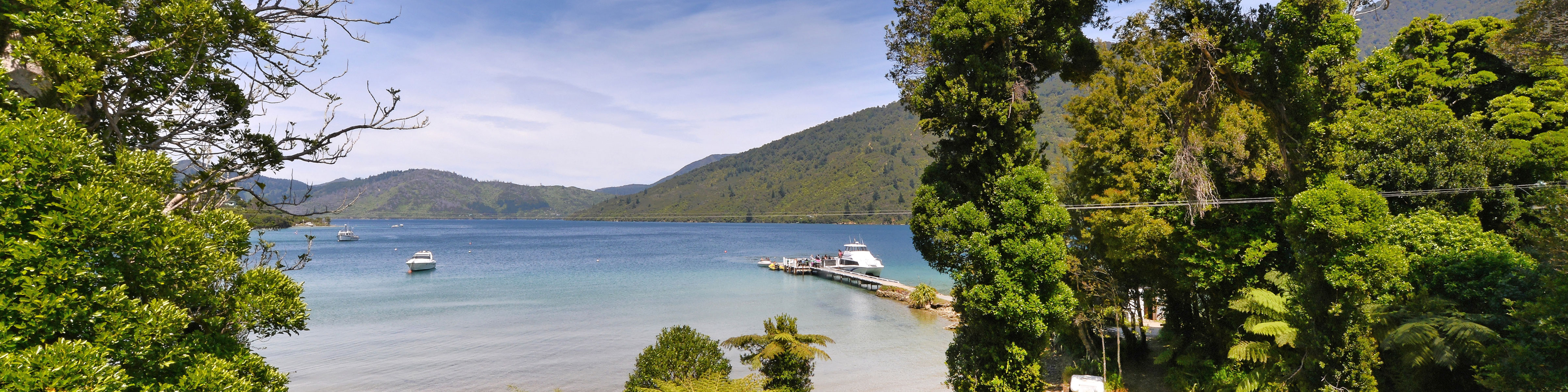 Banner Tall Marlborough