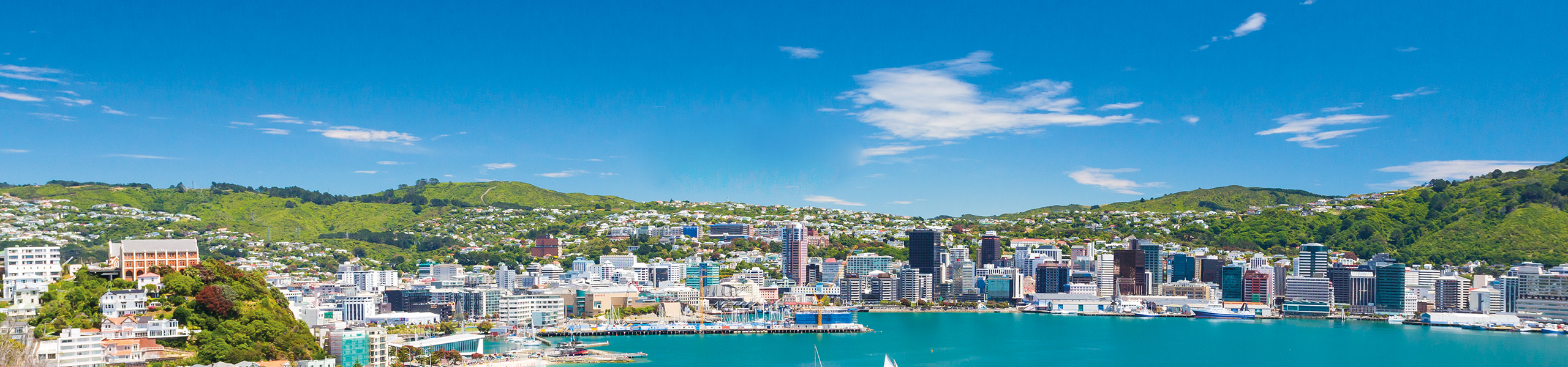 Wellington Banner 2560 Final