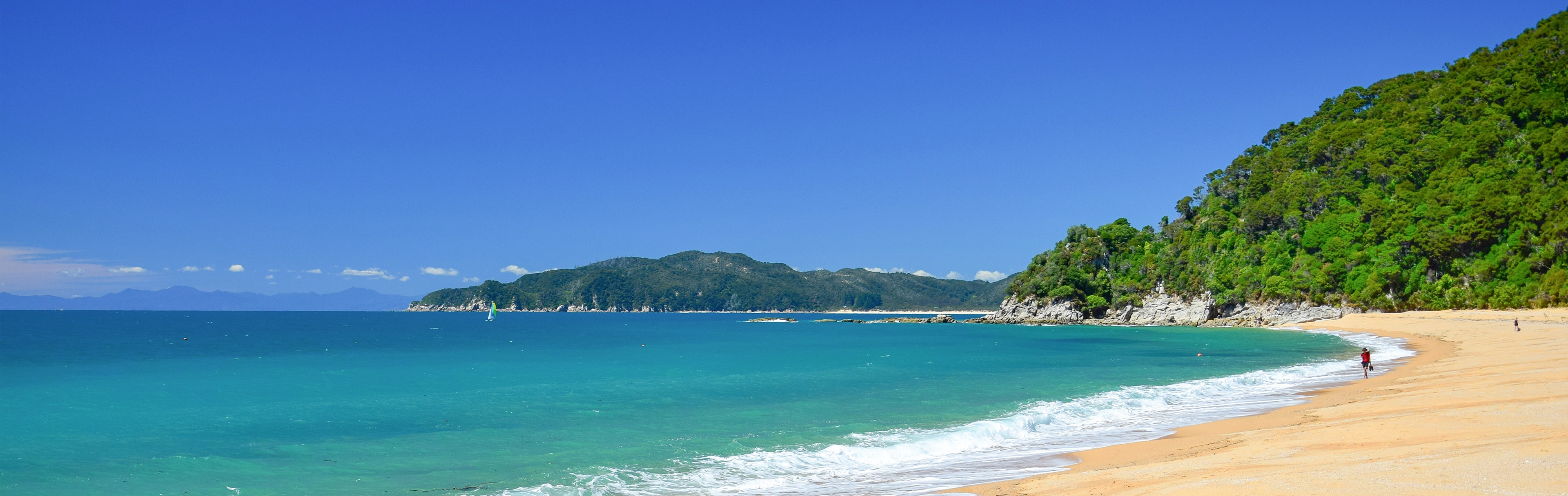 P Style Feb2025 Insights C15 Market Insights