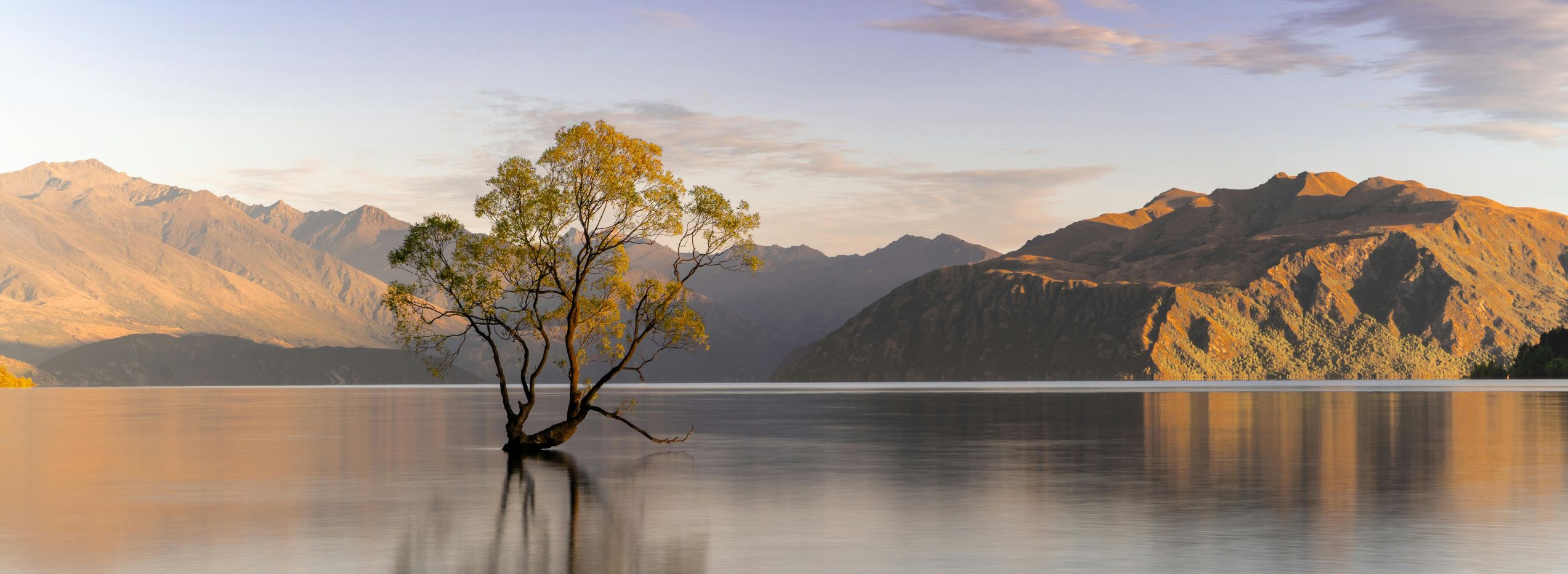 Hero Banners for Website  (7)