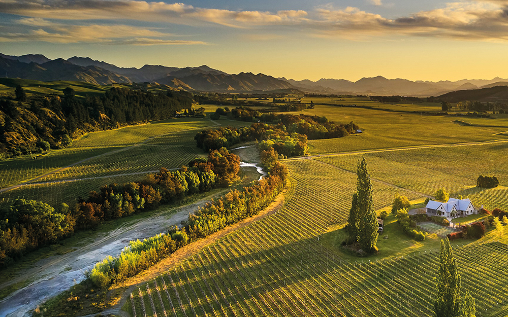 C7 Marlborough Rural and Vineyards