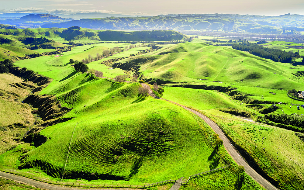 Reg Hawkes Bay Im G4 Hastings