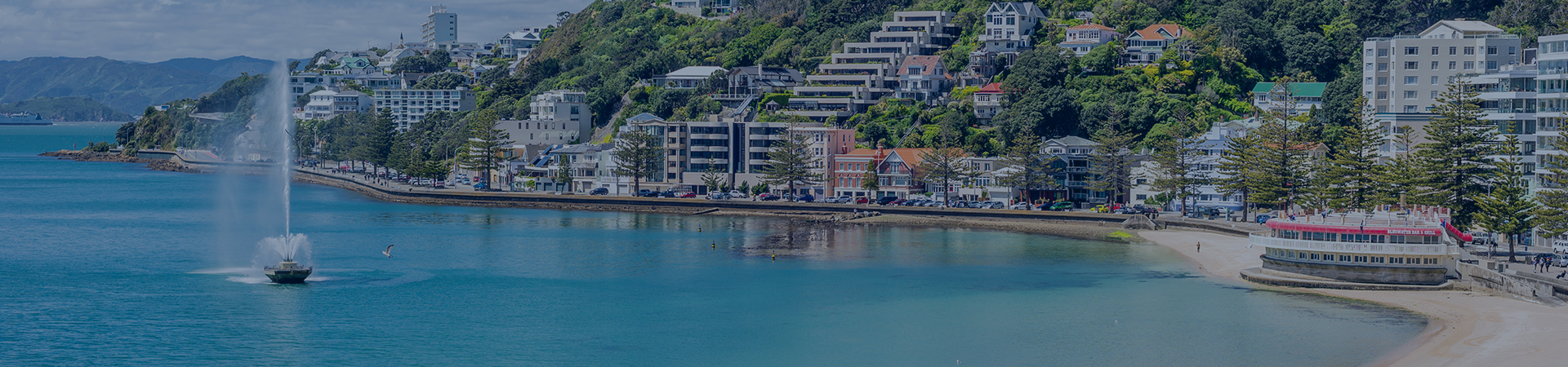 Wellington Ps Header