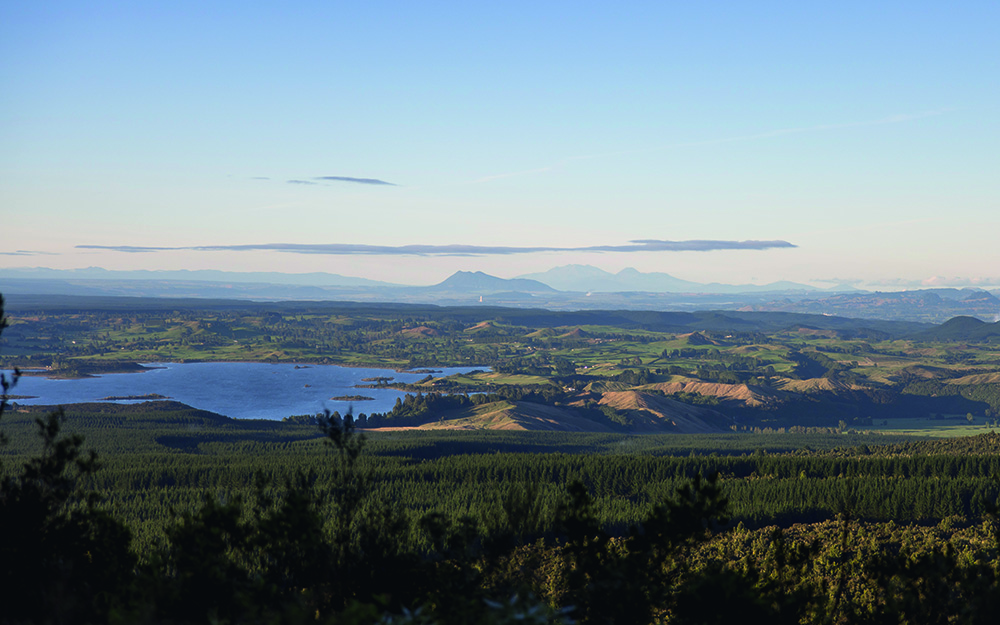 Reg Bay of Plenty Im G5 Rotorua