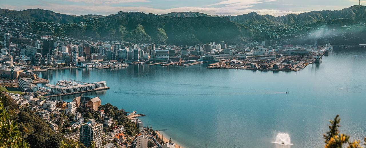 Wellington City Banner