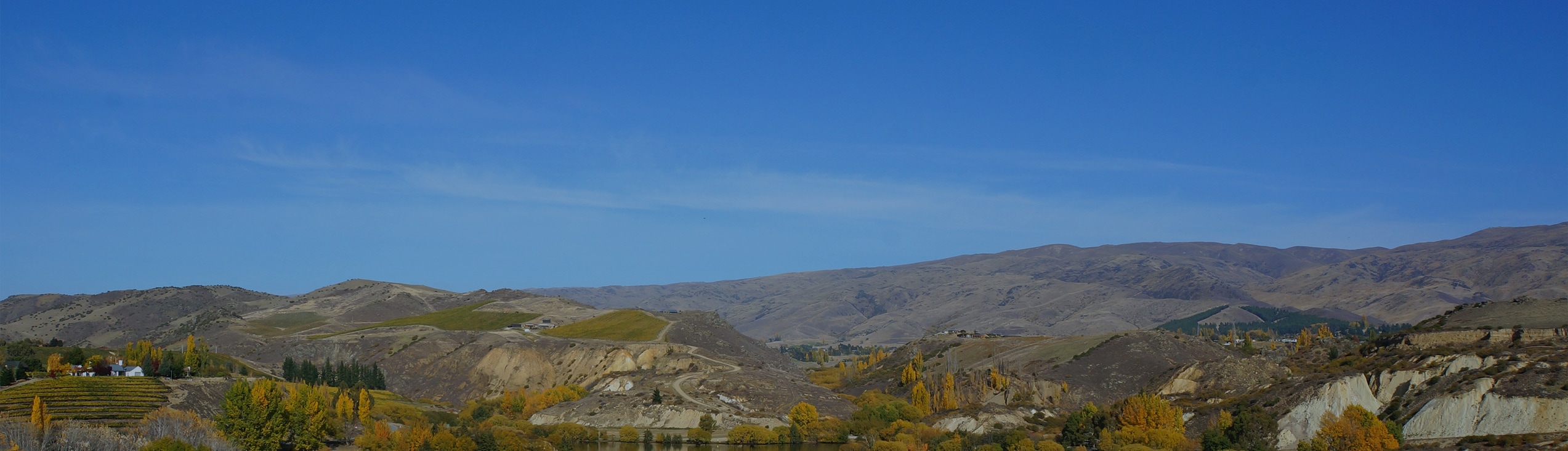 Kelan's Gift Landing Page Header Aug2025