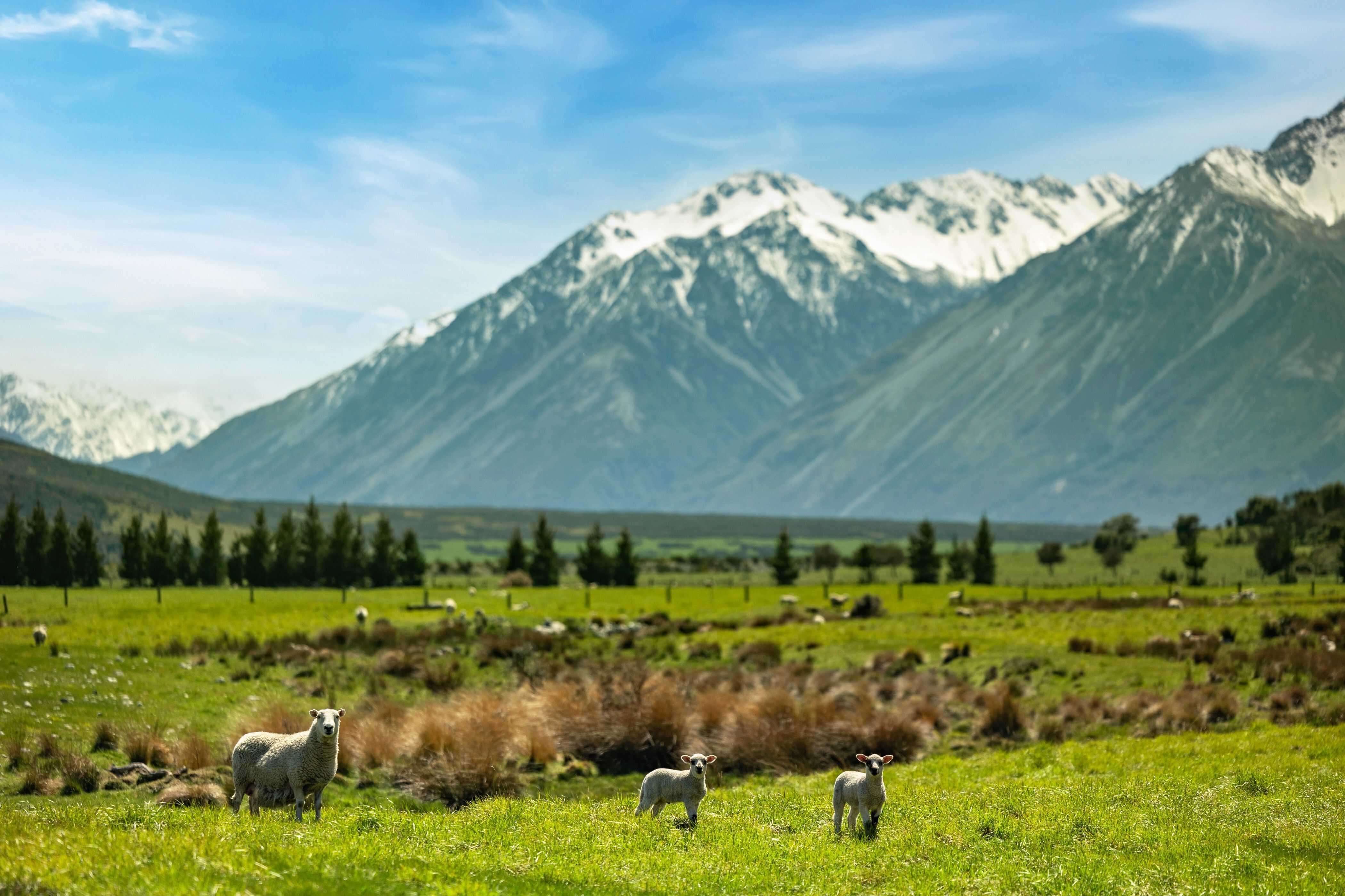 25 Mas Imageworks 193 Mr (1)