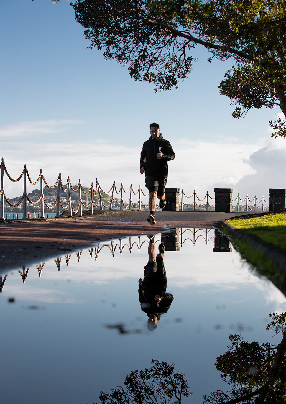 C7 Tall Eastern Bays