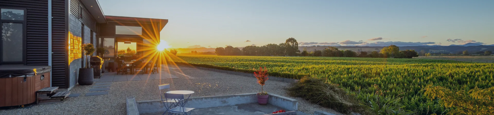 Life Among the Vines Header