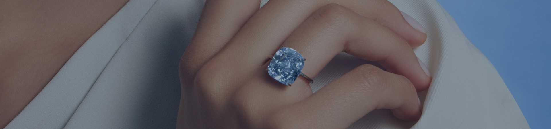 Sothebys Auction Header