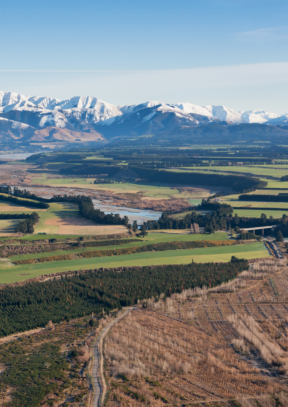 Waimakariri District Agent