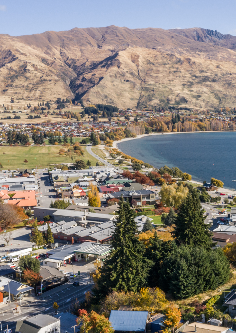 Dis Wanaka C7 Tall