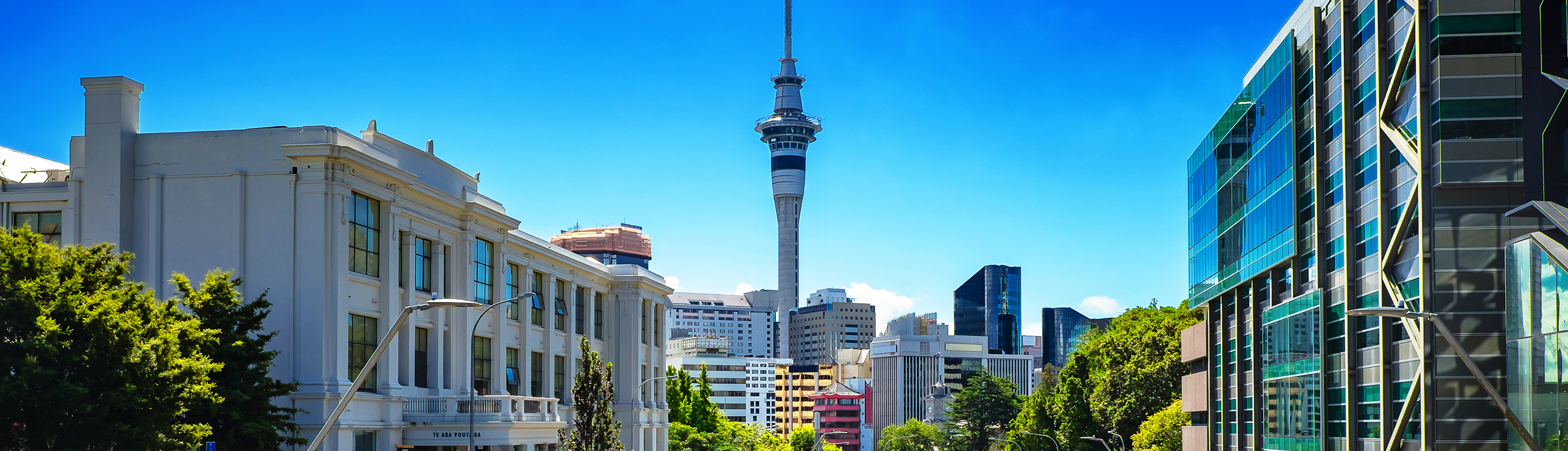 Dis Auckland City Banner